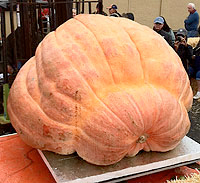 1704