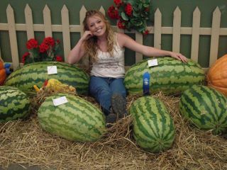 kemp watermelons
