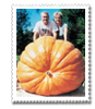 stamp