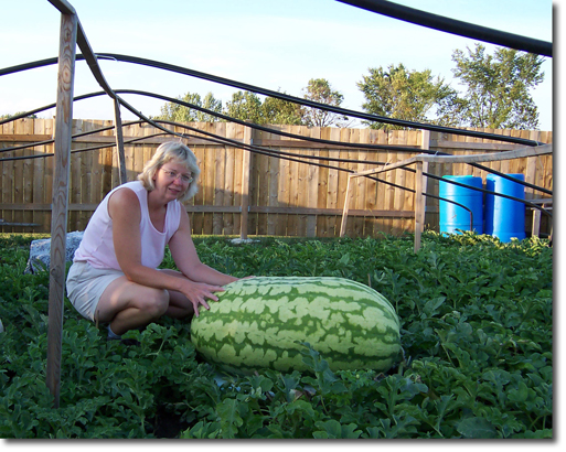 giant Watermelon