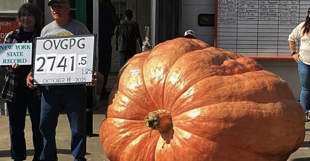 Don Langevin's GiantPumpkin.com