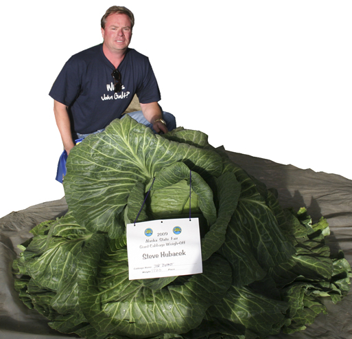 Hubacek World Record Cabbage