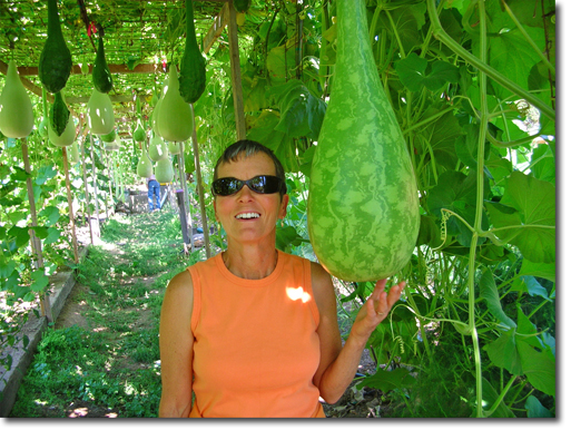 Cyndi Glasier in gourds