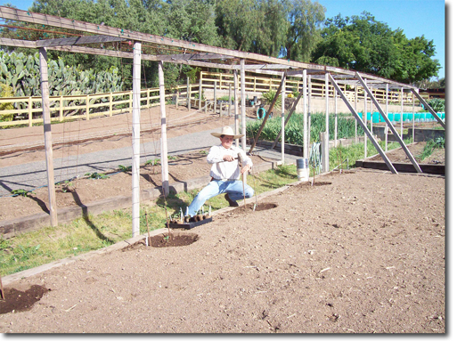 long gourd soil preparation