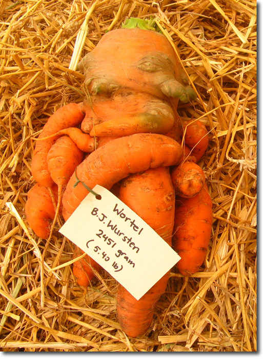Giant Carrot