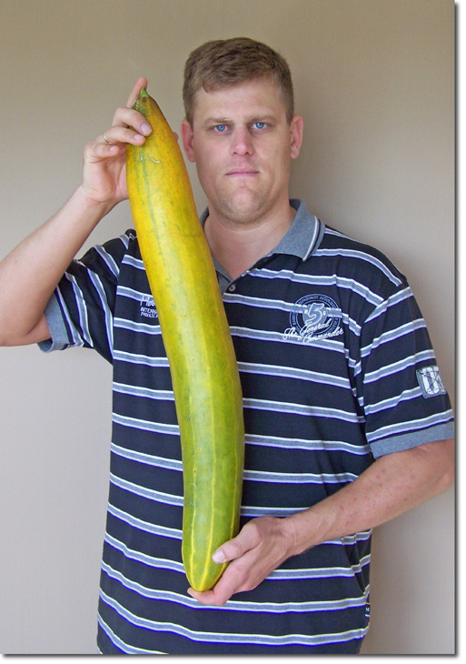 Brad Wursten with giant cucumber