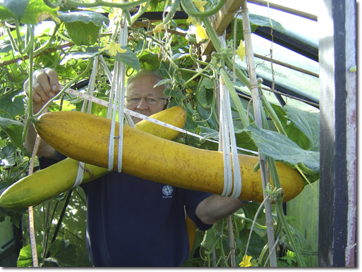 Giant Vegetable Varieties