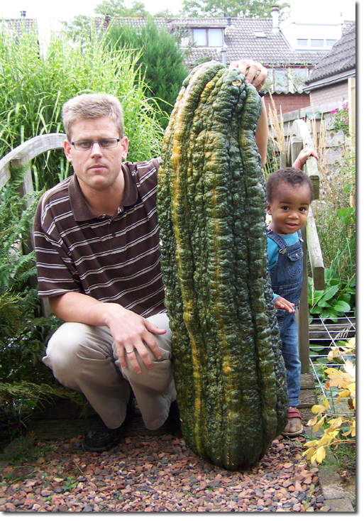 Giant Marrows