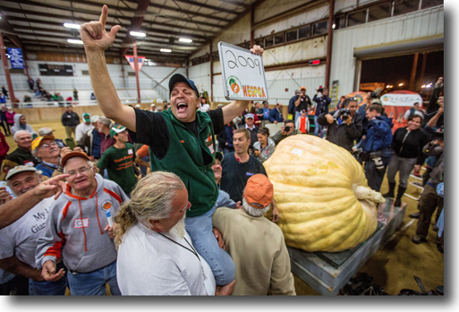 giant pumpkin